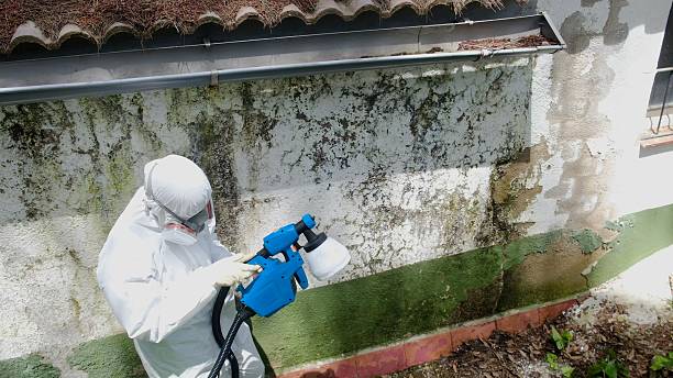 Top rated local Basement Mold Remediation specialists in Millersville, PA